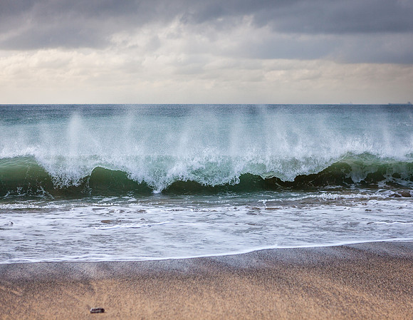 White Horses, Lizard