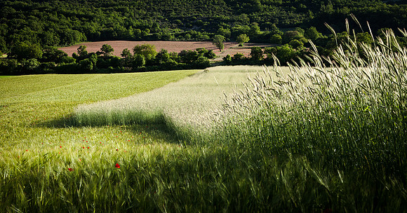 Umbria (2)
