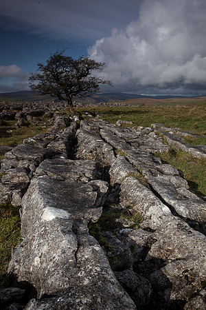 Winskill Rocks, Yorkshire Dales (1)