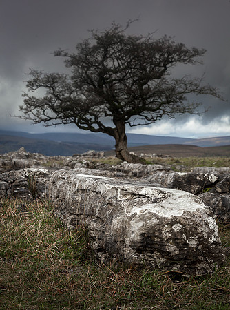 Winskill Rocks, Yorkshire Dales (3)