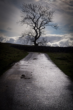 Winskill Rocks, Yorkshire Dales (2)