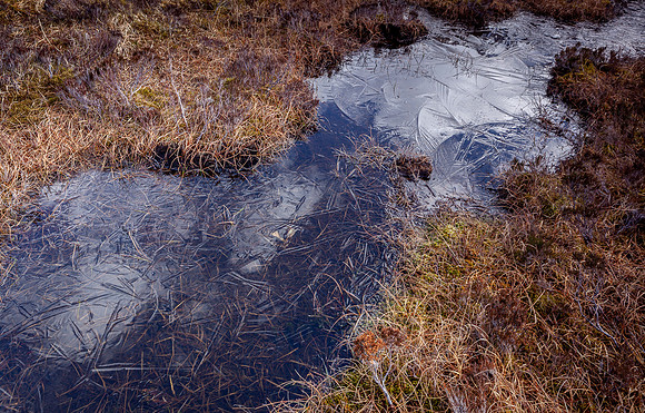 Feature, at Fairy Pools, Isle of Skye