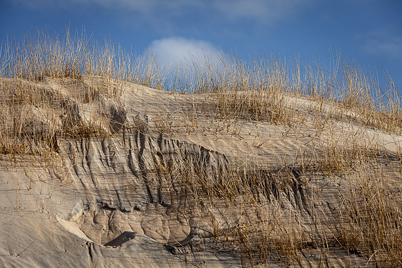 Luskentyre Beach, Isle of Harris (11)