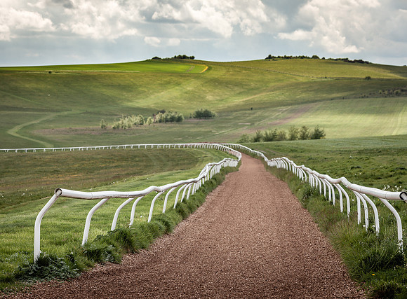 Westdown Gallops