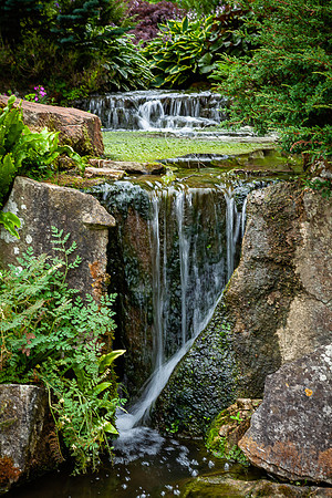 Kilfer Court Gardens (2)
